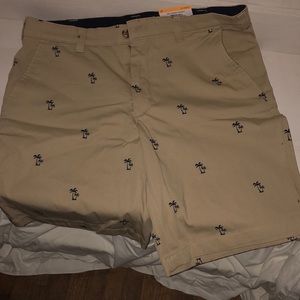 Brand  club room size 33 tan with palm trees